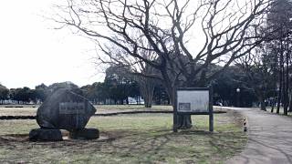 市川市柏井町の旧跡 姥山貝塚(うばやま)