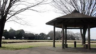 市川市柏井町の旧跡 姥山貝塚(うばやま)