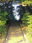 市川市柏井町の寺社 唱行寺
