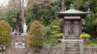 ss䒬̎ y