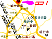市川市柏井町2の寺社 観世音堂(観音様)
