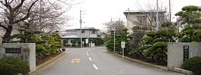 ss䒬ӂ̊ewZE us쎩ԋKv